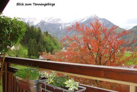 Haus Margrit Ferienwohnung In Sonnenlage Golling an der Salzach Pokój zdjęcie